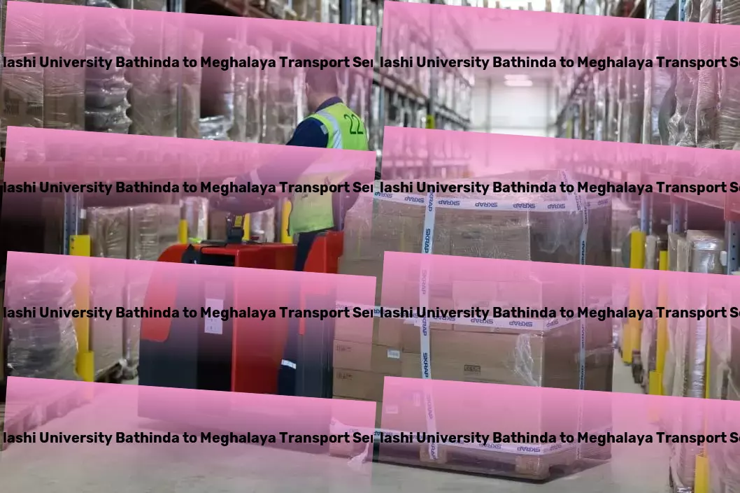 Abhilashi University Bathinda to Meghalaya Transport Professional goods forwarding