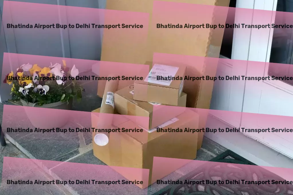 Bhatinda Airport Bup to Delhi Transport Exceeding expectations one garden at a time! - Express household logistics