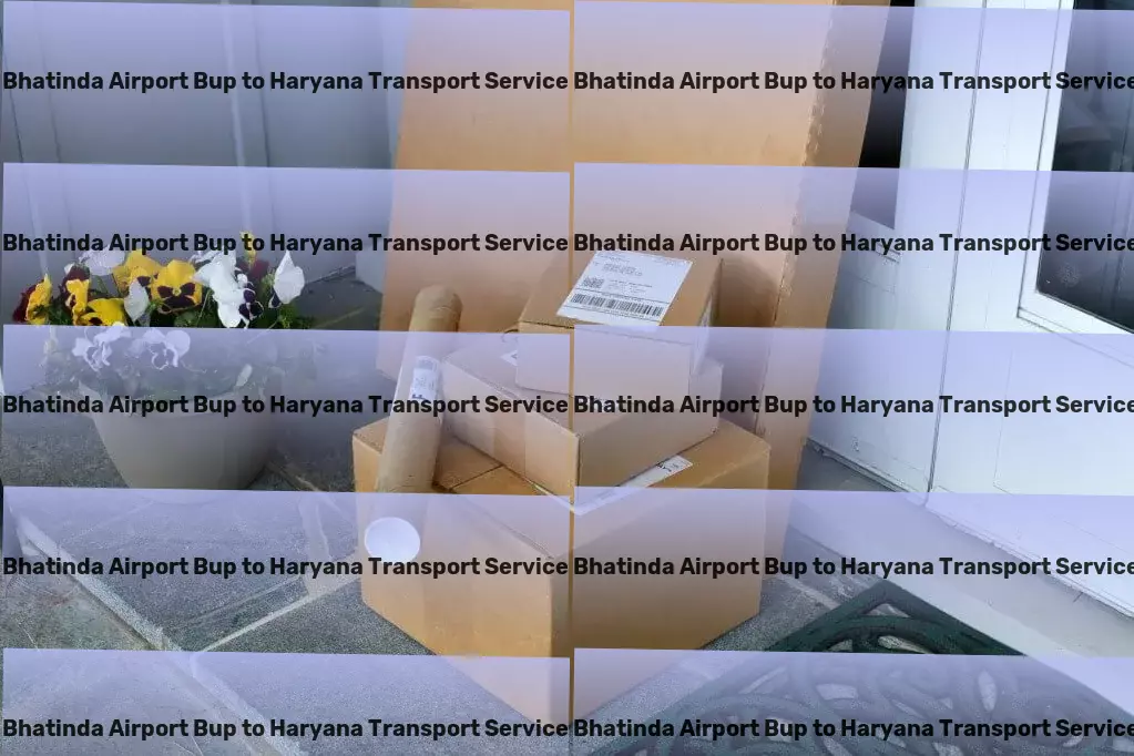 Bhatinda Airport Bup to Haryana Transport Exceeding expectations one garden at a time! - Dedicated package logistics